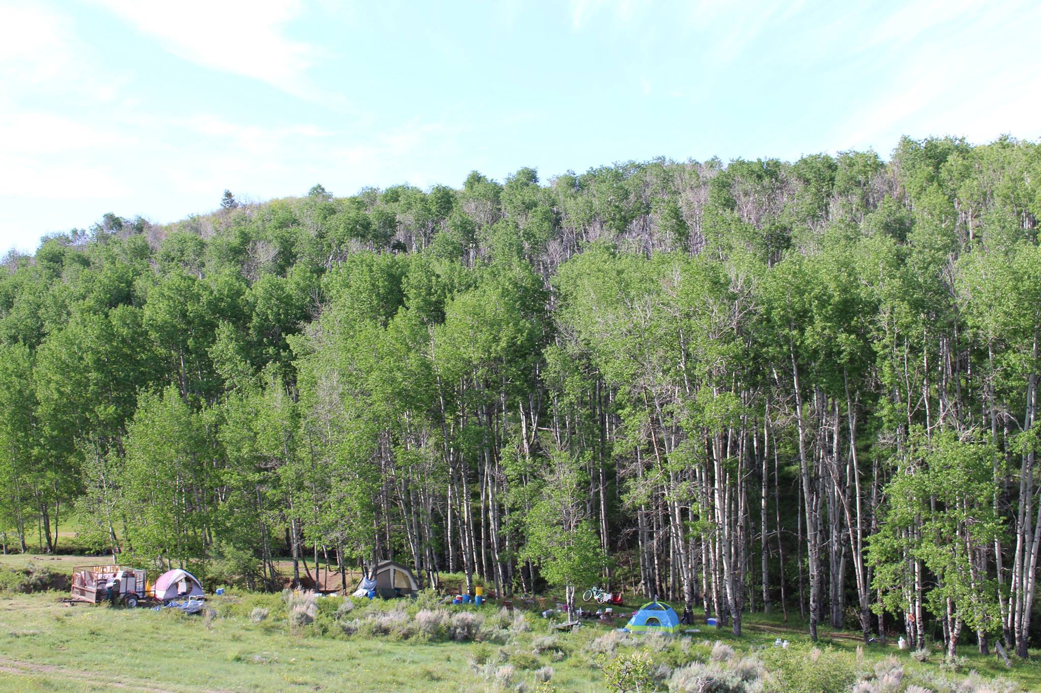 Elders Rising - For camping lovers, families, and tar... | Facebook