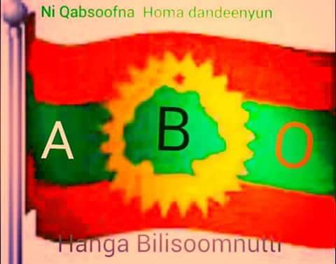 Rayyaan galamso