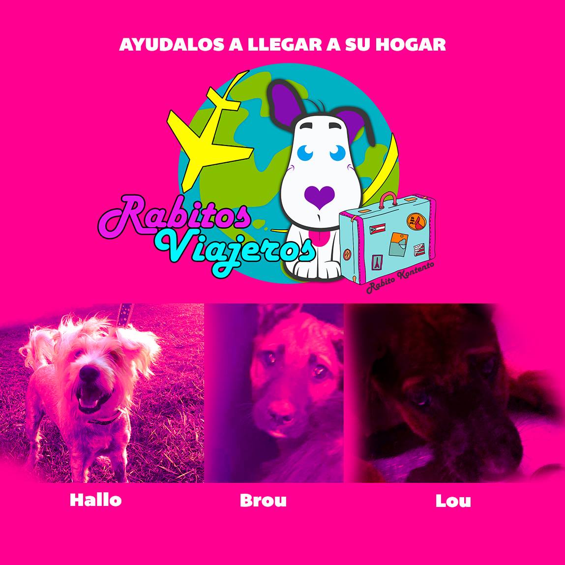 Rabito - Amigos! Hallo, Brou y Lou tienen la oportunidad de viajar a EU ...