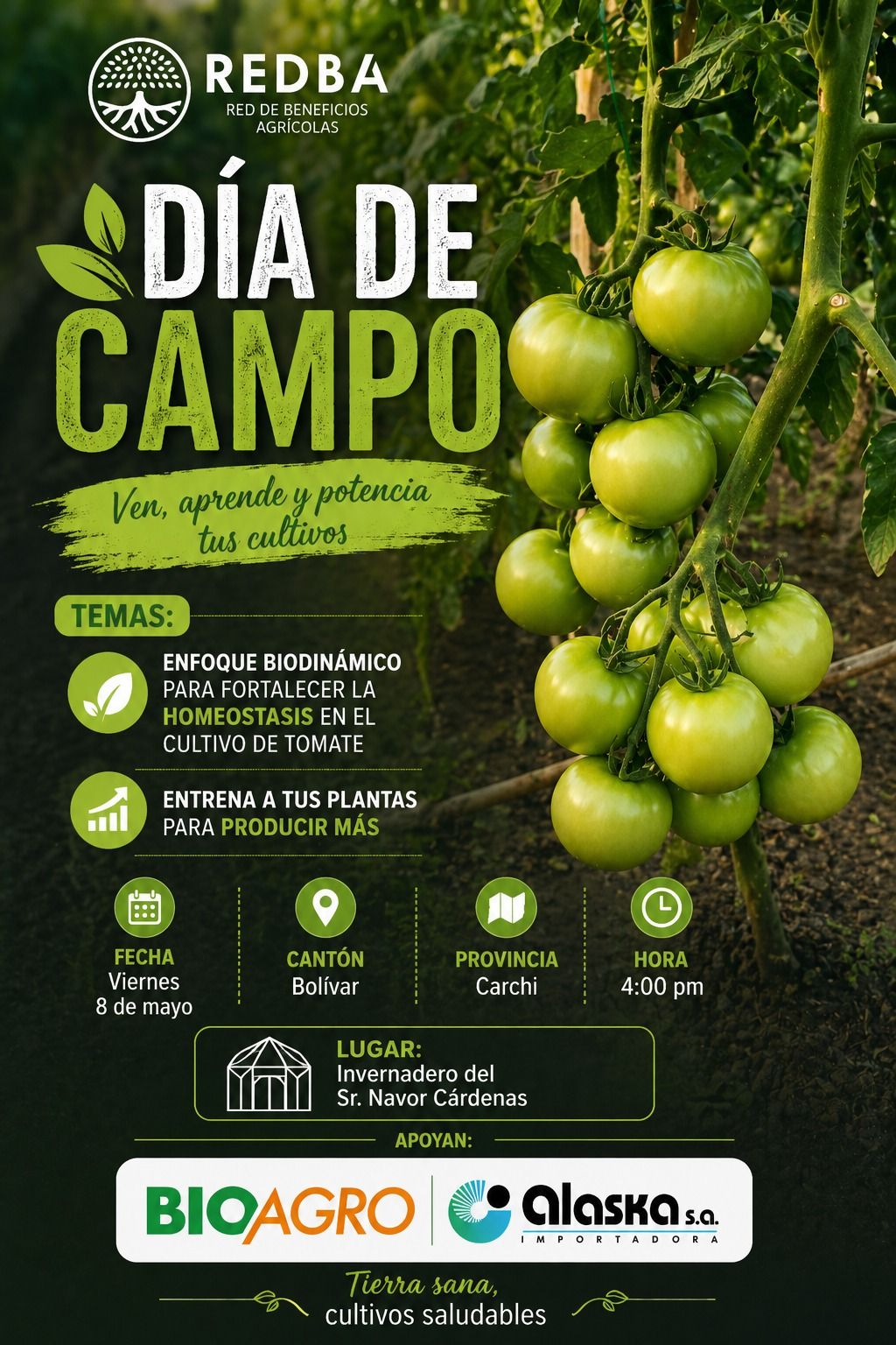 DÍA DE CAMPO DE TOMATE RIÑÓN BAJO INVERNADERO 🍅👨‍🌾🚜