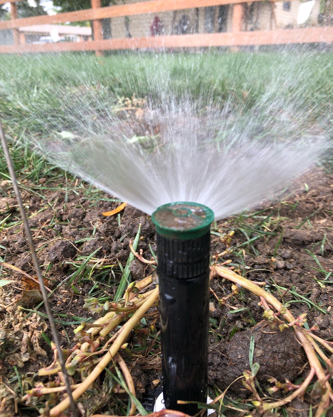 Sprinklers Plus - Sprinklers Plus added a new photo.