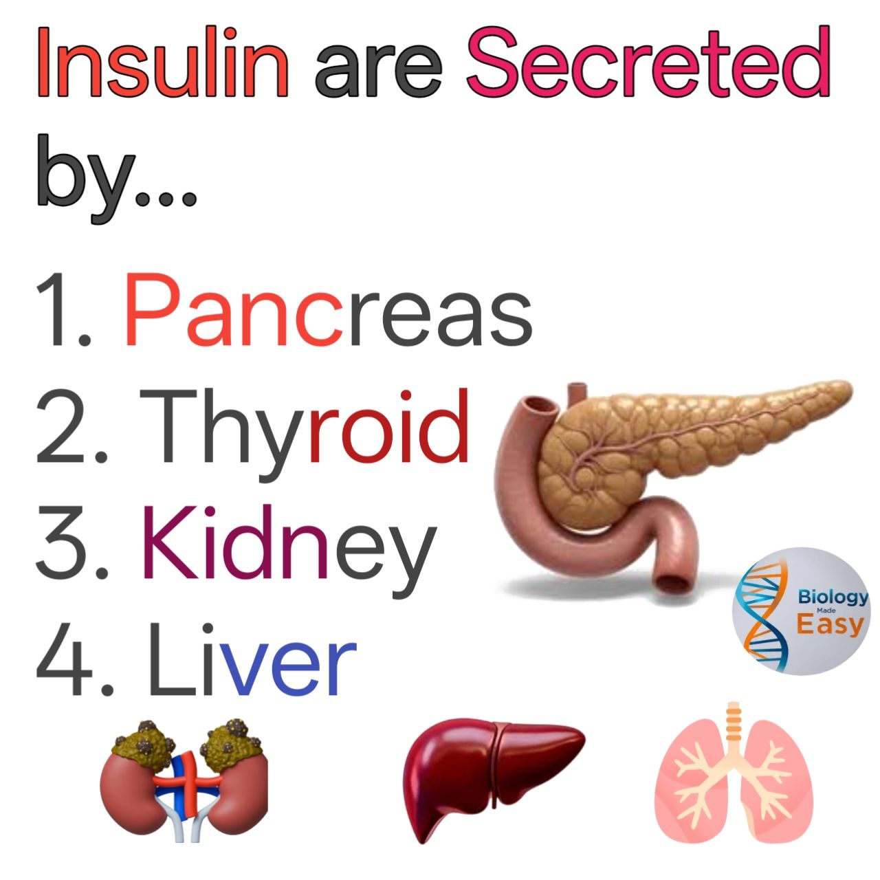 Human anatomy and physiology | Insulin is secreted by... | Facebook