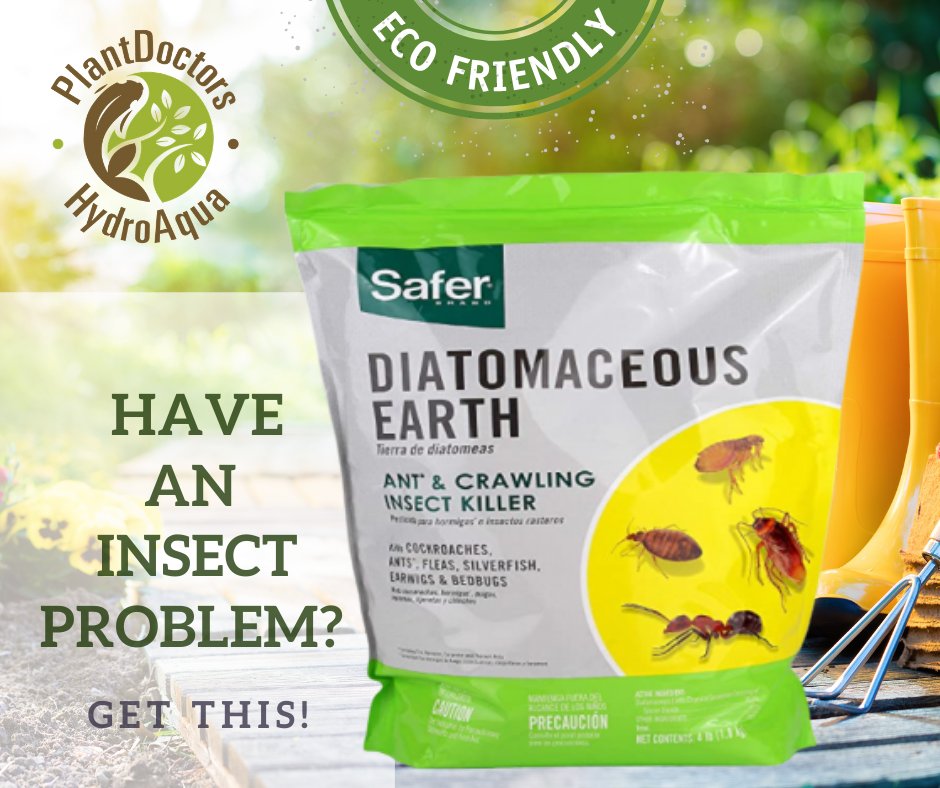 🦗 So You Have An... - Plantdoctors Hydroponics/ Aquaponics | Facebook