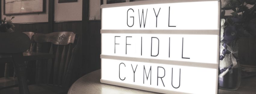 Gŵyl Ffidil Cymru