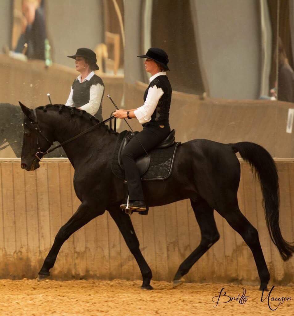 Ecole de Légèreté Perth - Here is Barbara Stübenrath and the horse she ...