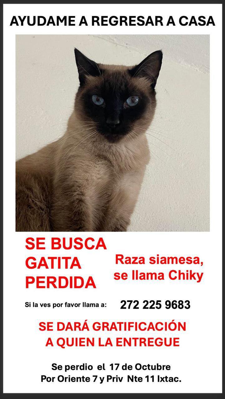 opra-organizacion-para-la-proteccion-y-respeto-animal-hola-buenas