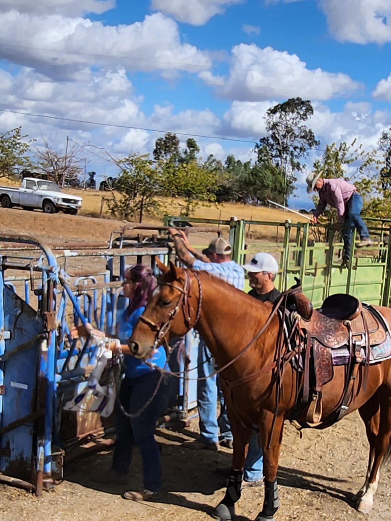 L&R Ranch | Clements CA