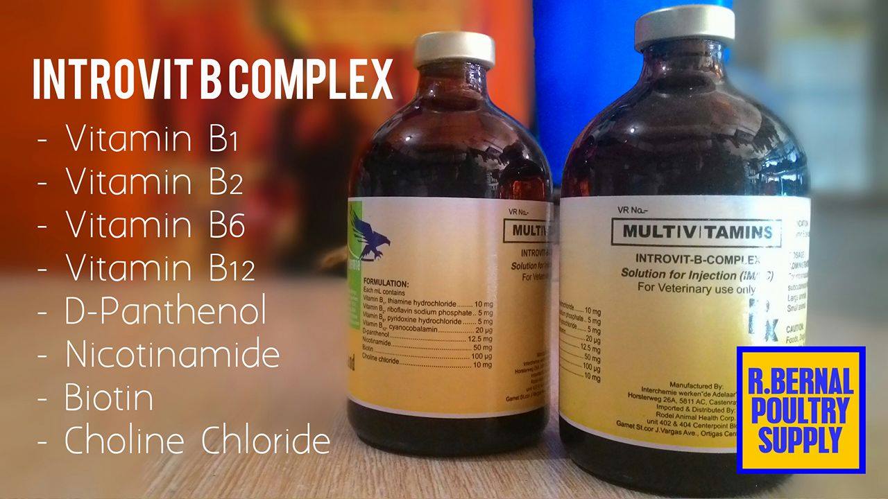 glutathione pleolyposome PURCELL 88B/mL L-Glutathione Flexible Liposome 30ml Methylcobalamine 1500 Mcg Inj Topseller Aktionen Size:25 Kilograms Jumbo