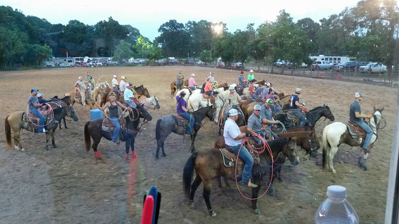Triple V Ranch... - Triple V Ranch Performance Horses
