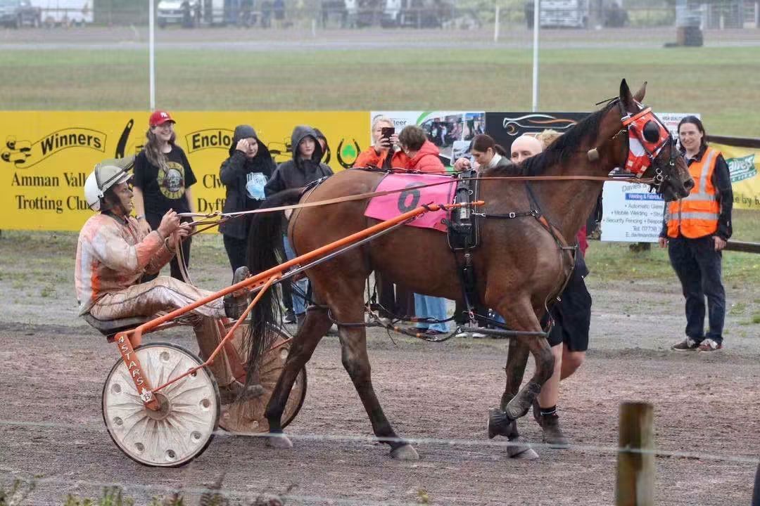 The British Harness Racing Club | Facebook