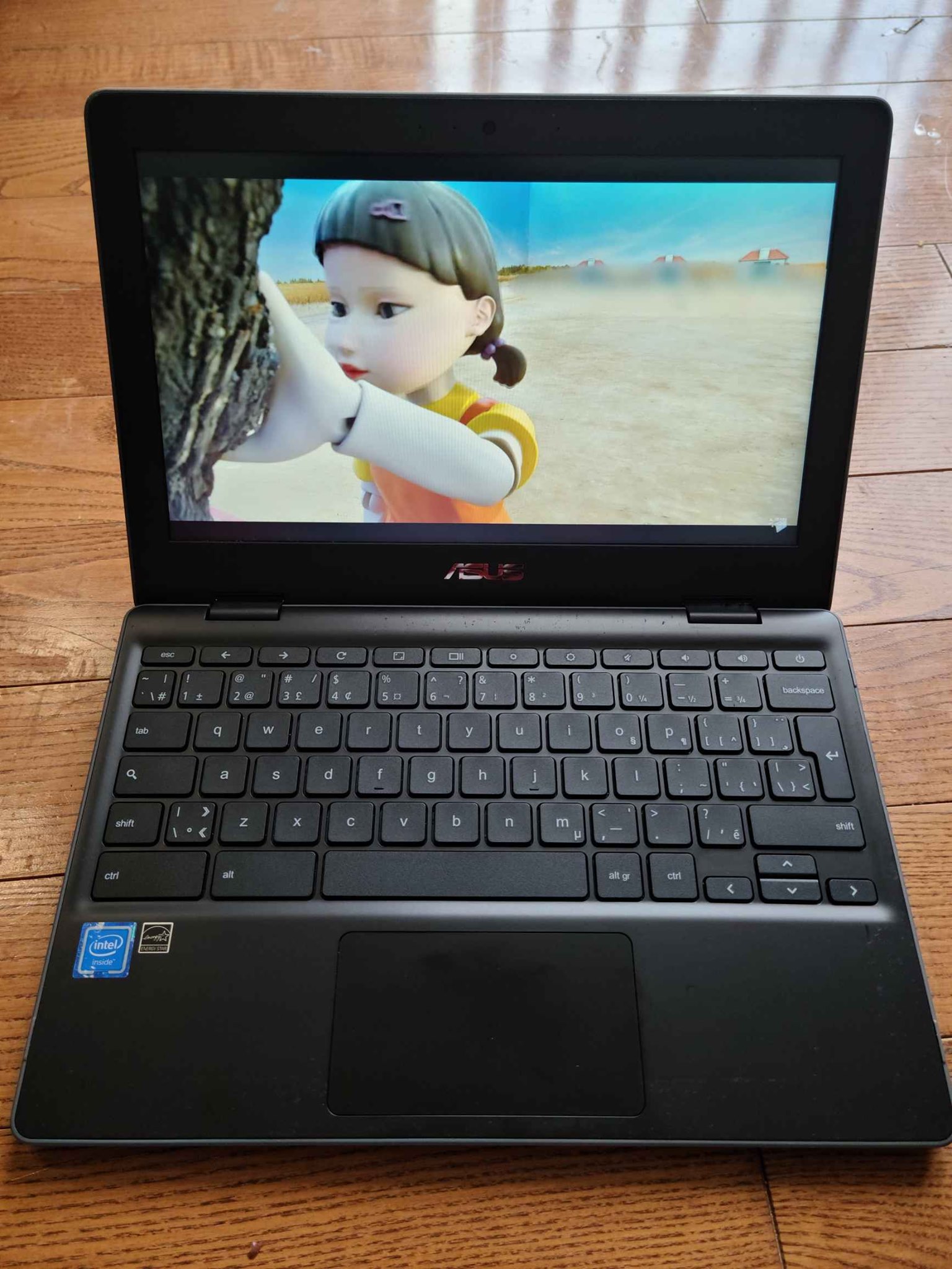 ASUS Chromebook C204E Usato: Intel Celeron N4020, 4GB RAM, 32GB EMMC, Caricatore Incluso