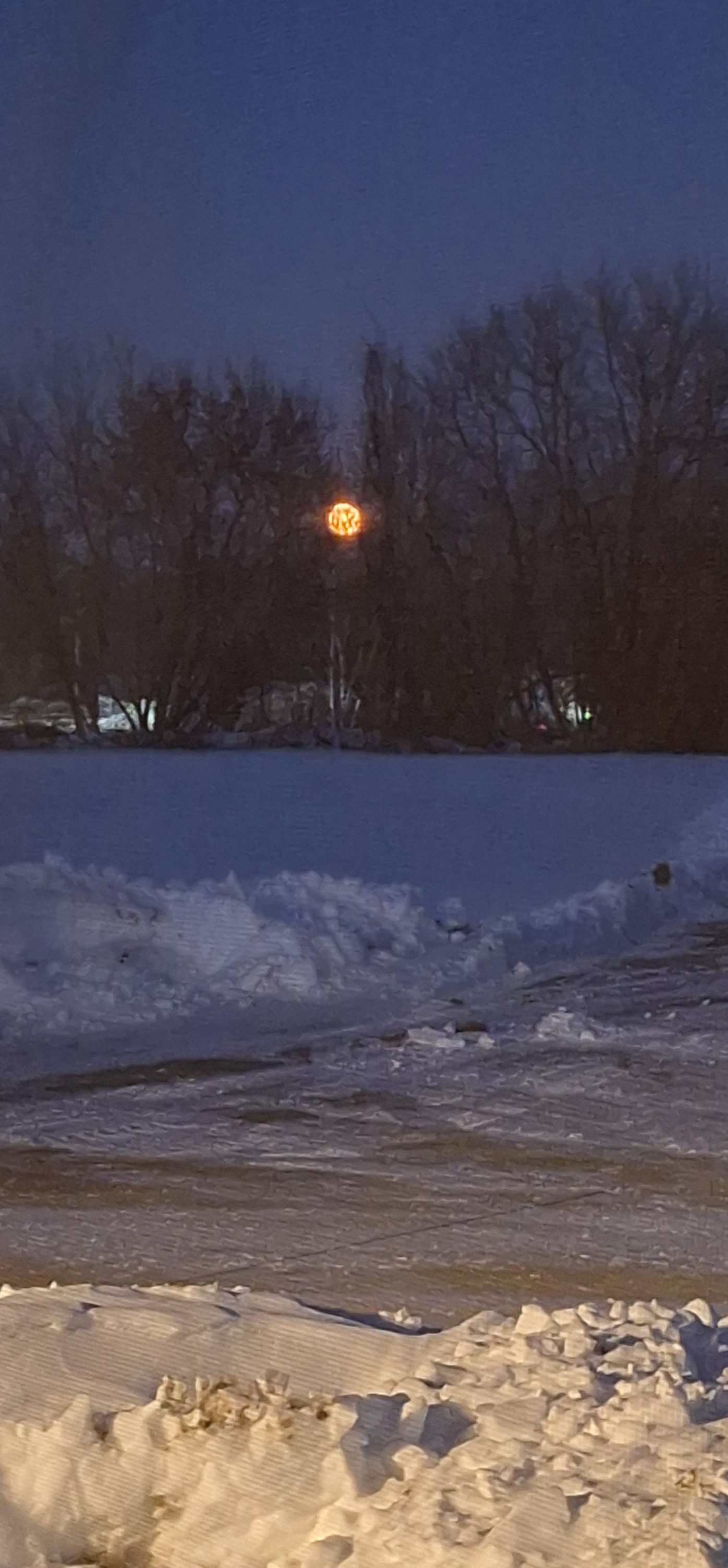 Maynard - 13 brisk degrees but it is going to be beautiful tonight ...