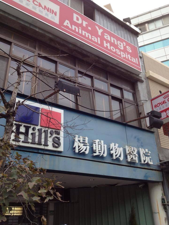 楊動物醫院dr Yang S Animal Hospital الصفحة الرئيسية فيسبوك
