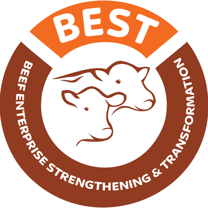 Bee... - Beef Enterprise Strengthening and Transformation-BEST