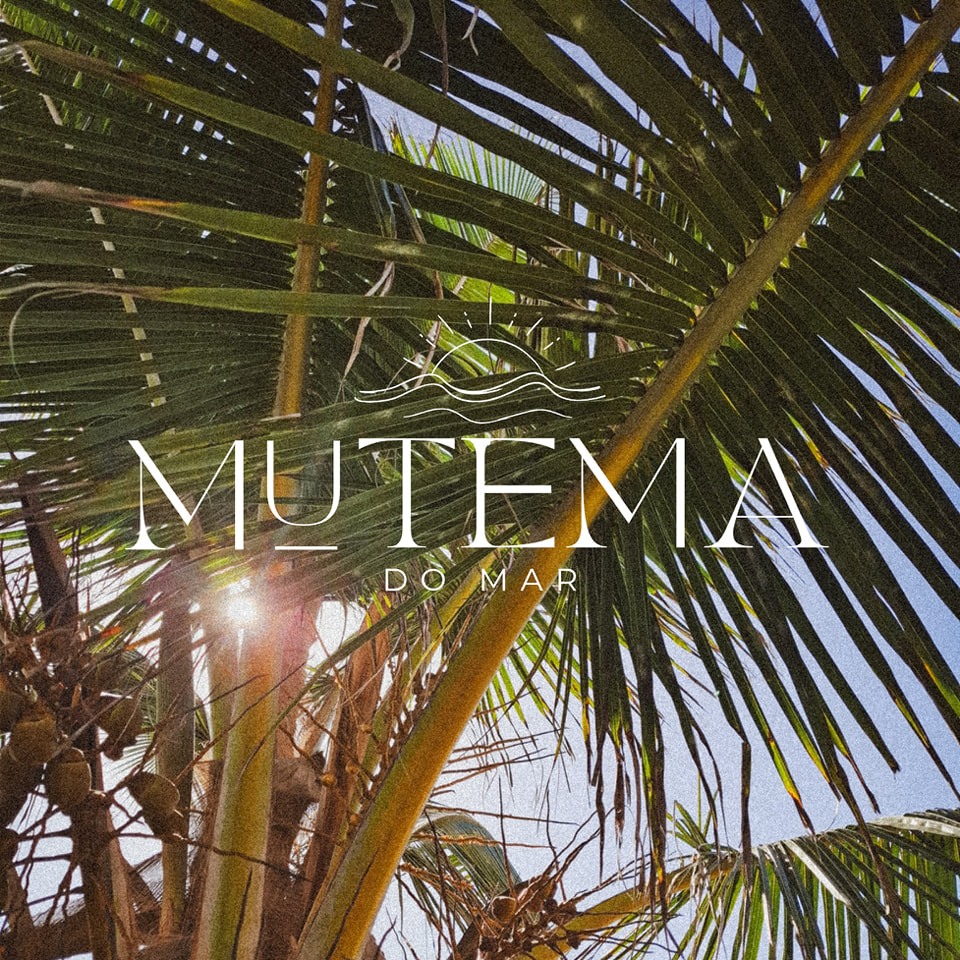 A little Mutema shopping haul from South Africa 🇿🇦🤎 With most of the ...