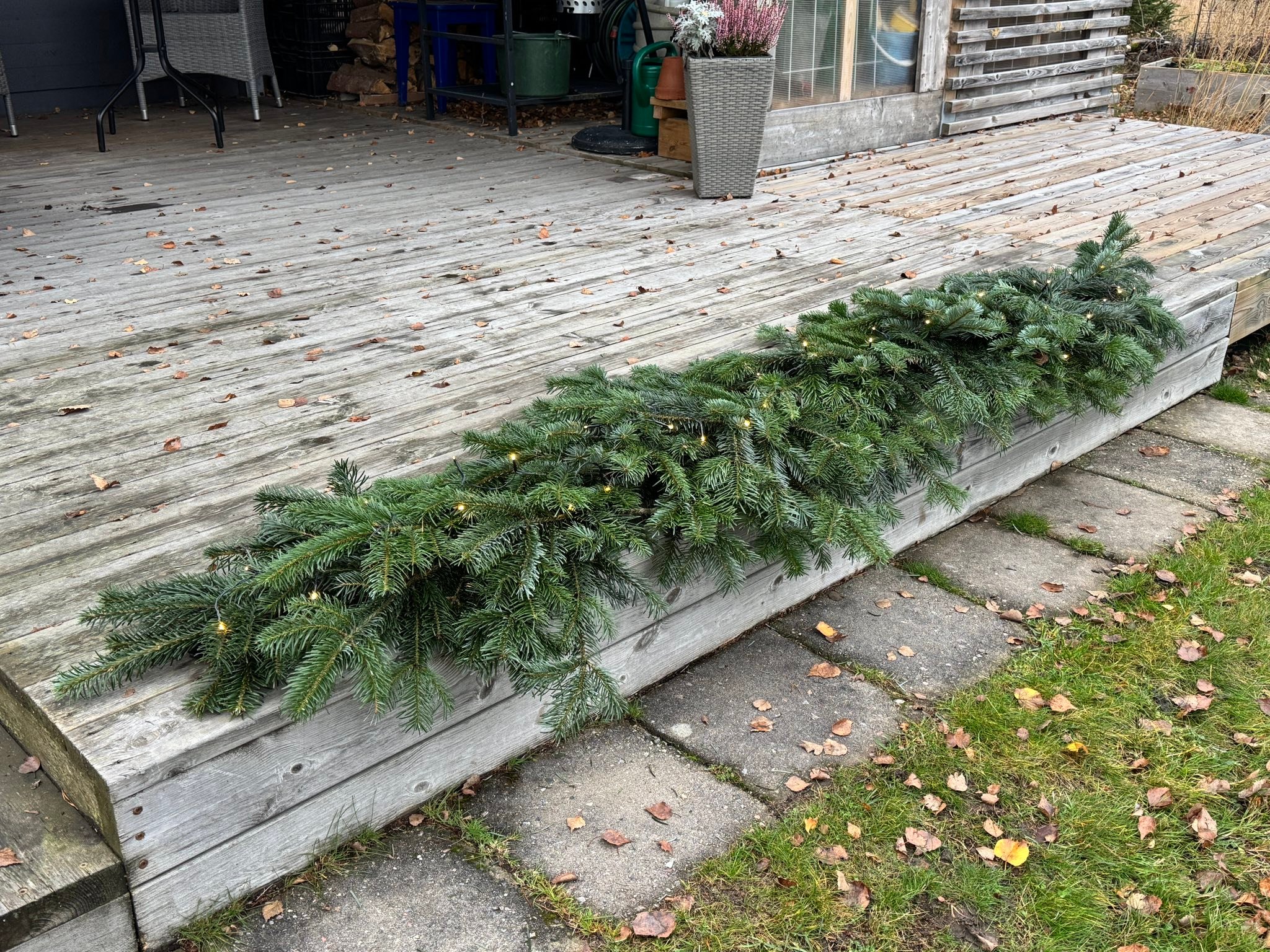 Trädgården runt hörnet - Luktviol. Upptäckte violerna för första gången ...