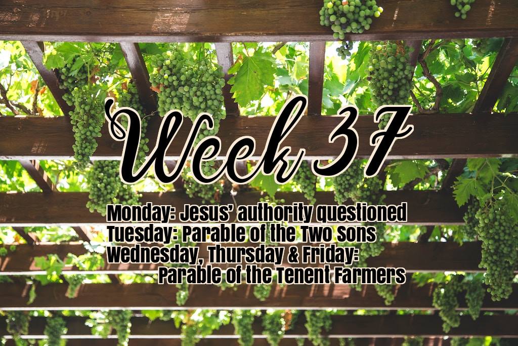 Arise And Shine - Welcome to Week 37 of the 52 weeks long... | Facebook