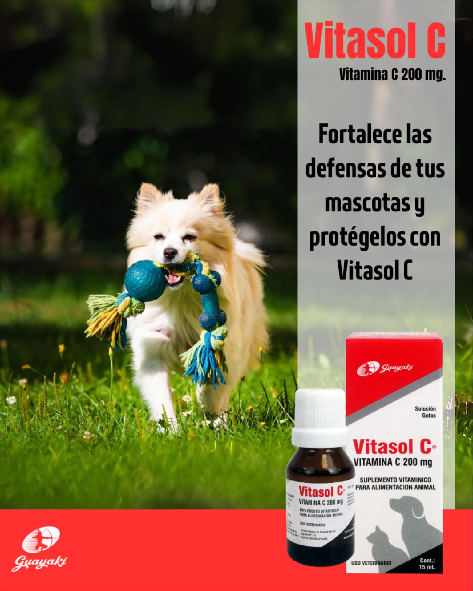 Guayaki - 🌟 ¡Dale a tu peludo un impulso de salud con Vitamina C! 🐾💚 ...