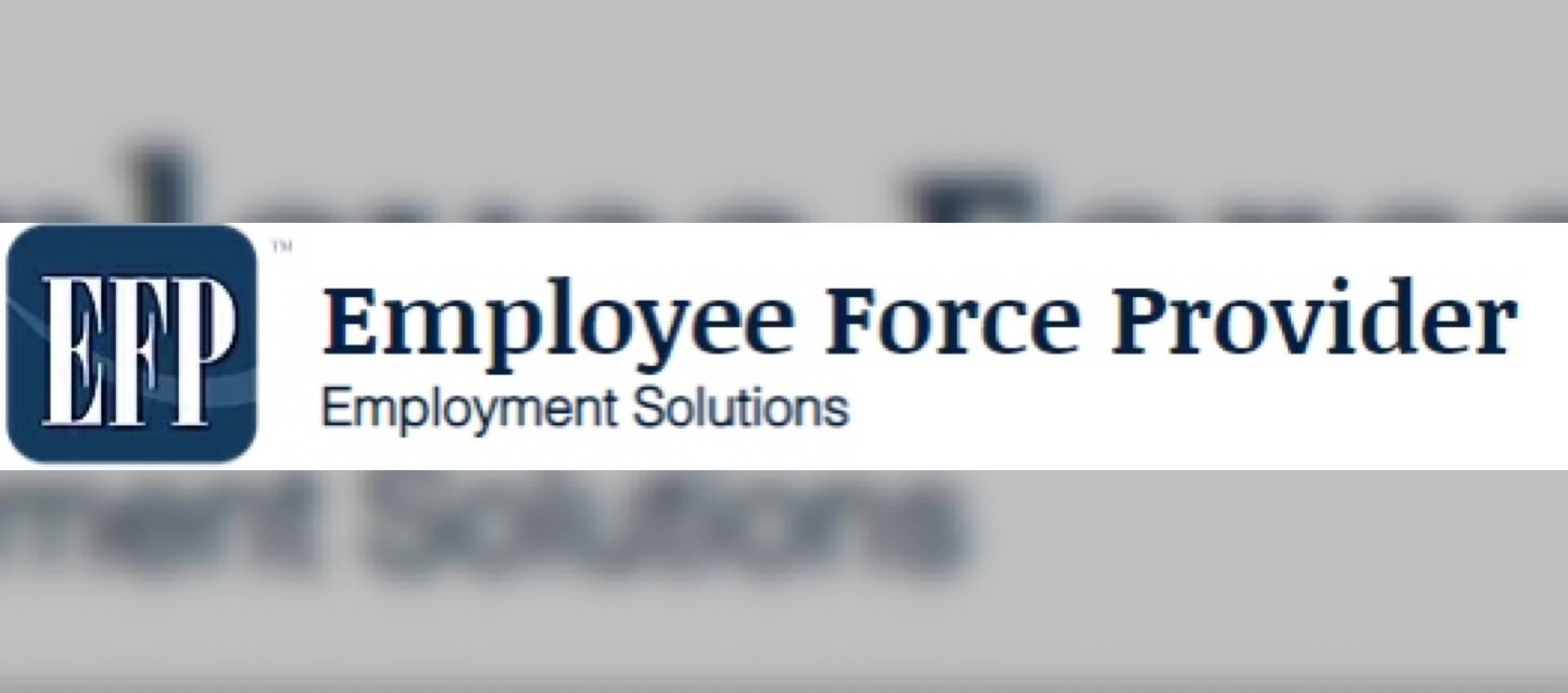 Employee Force Provider