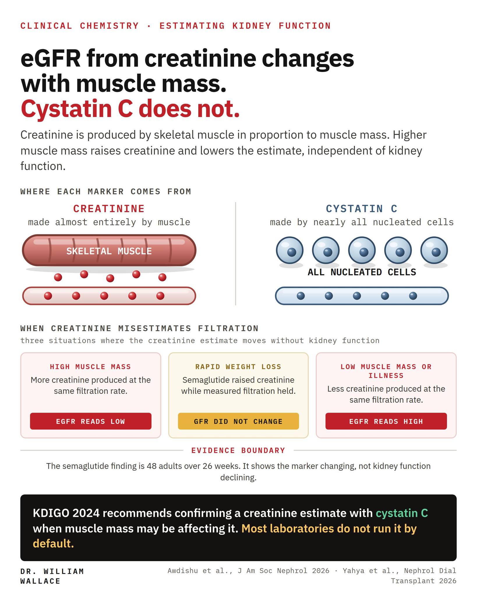semaglutide and creatinine can cause high levels Effects of Oral on Renal Function in Diabetic Kidney Disease: A Short-term Clinical Study Acute Kidney Injury Associated With  Healthy Habits While on Ozempic