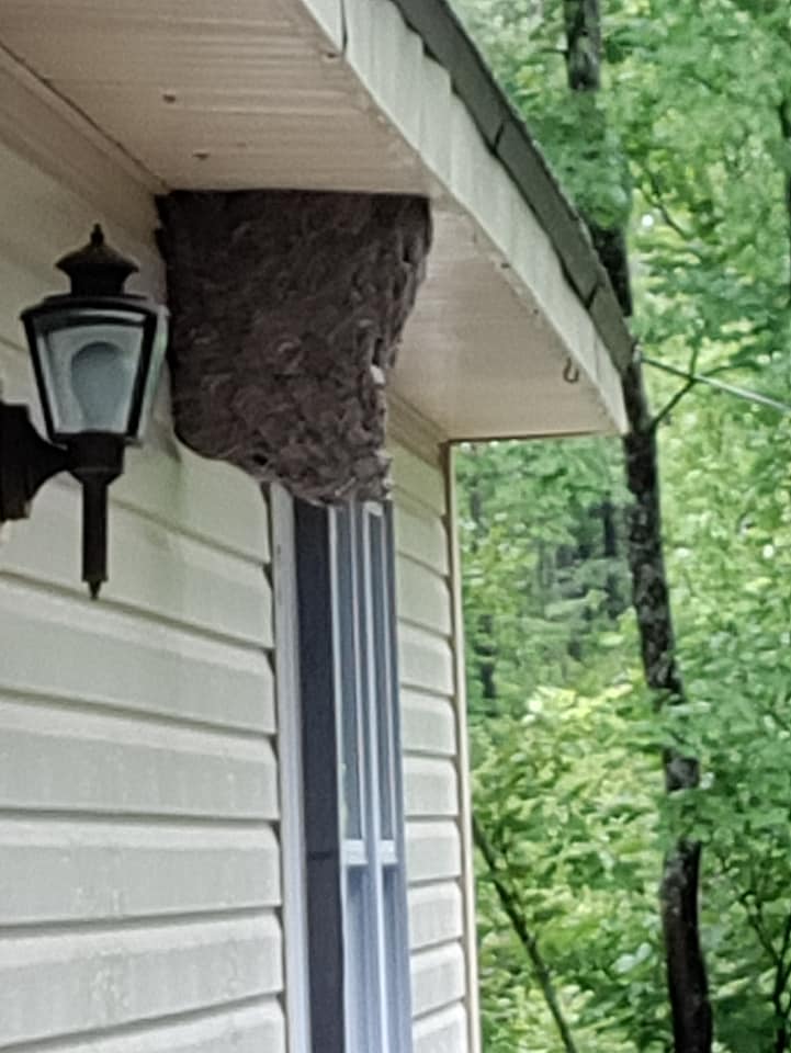 Alpine Pest Control Atlanta MI