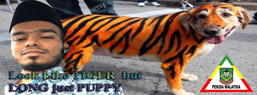 Long Tiger Anak Myanmar Home Facebook