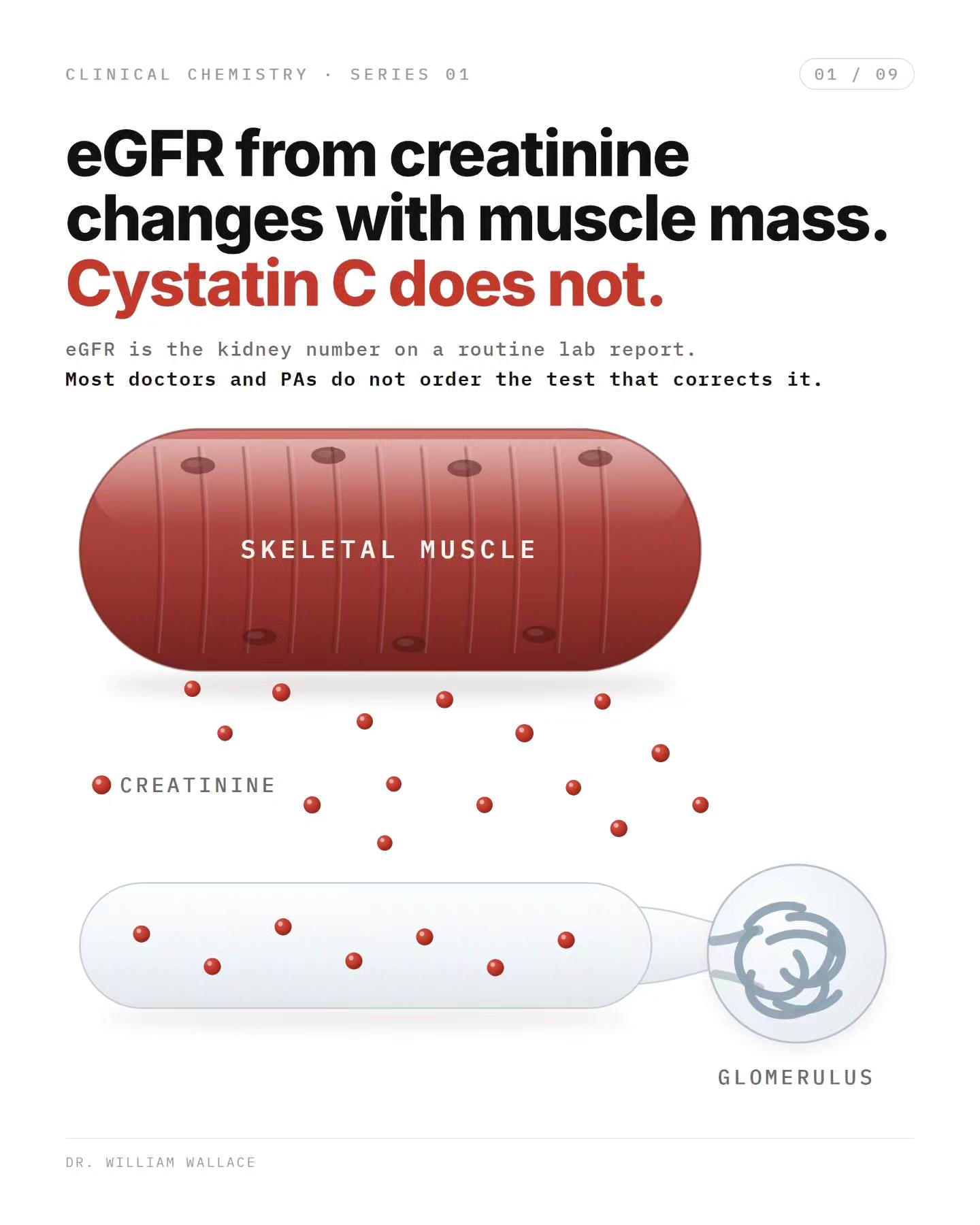 The eGFR on your blood panel is calculated, not measured. Its input is creatinine, waste that muscle makes. Pooling 26 randomized trials, creatine raised serum creatinine 0.14 mg/dL and dropped the calculated