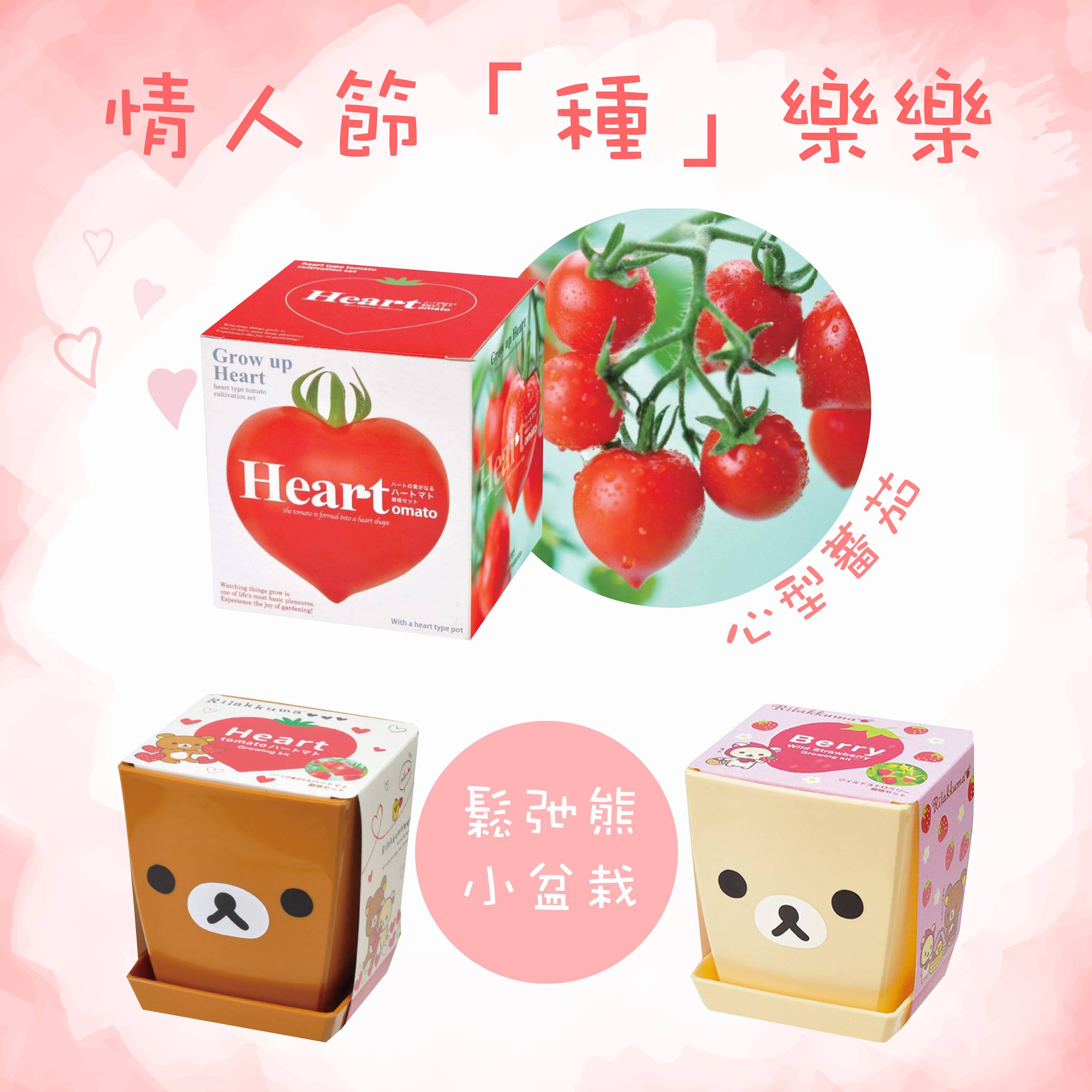友和 YOHO - #情人節禮物之選 送花送朱古力送公仔？情人節禮物送咩好，有無諗過佢哋呢？ Seishin... | Facebook