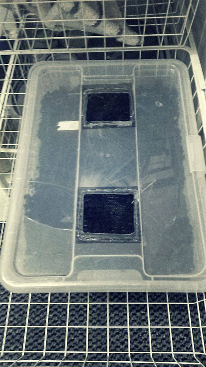 Wurmkompost - Eine Samla-Box von Ikea dient als Aufzuchtbox für die kleinen Würmer. Im Deckel sind zwei Belüftungsfenster eingelassen, beide mit einem Stück Fliegennetz abgeckt