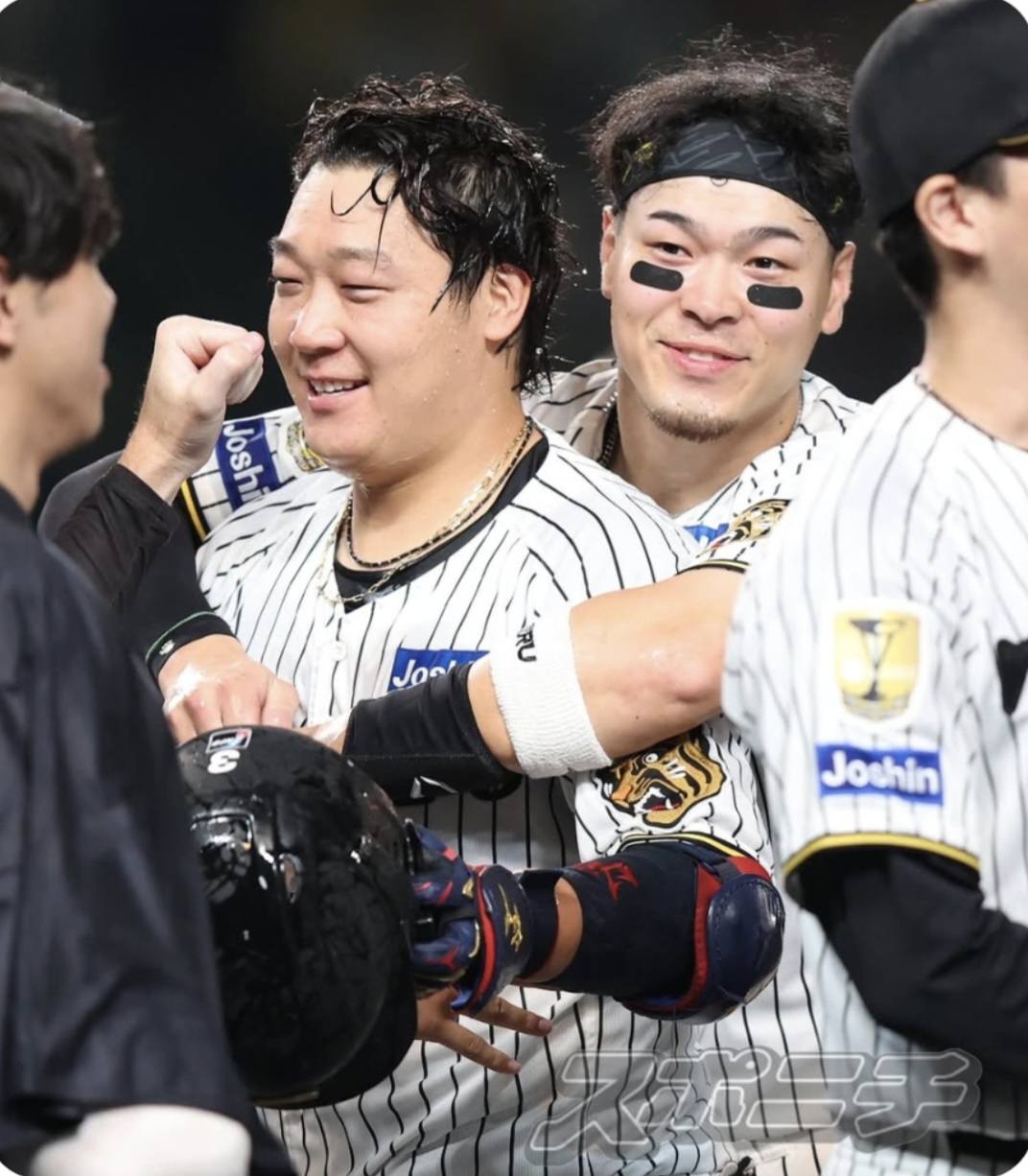 阪神タイガース