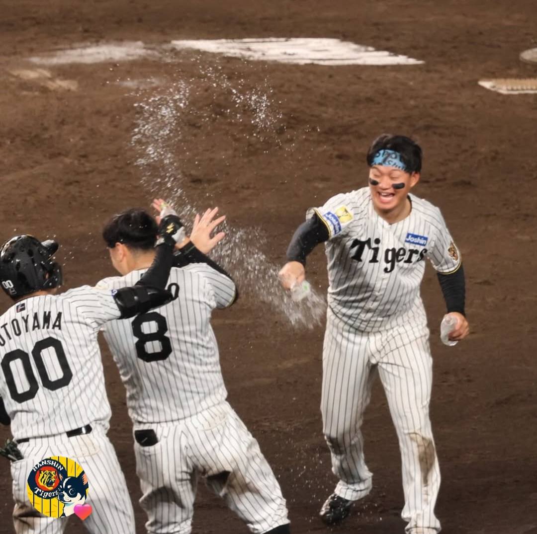 阪神タイガース