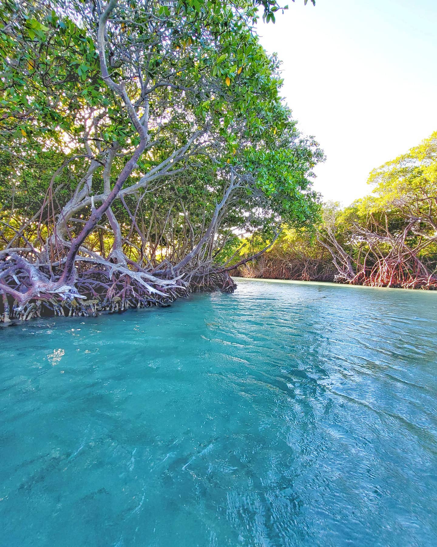 Un Paraiso con Agua Azul... - Turisteando en Puerto Rico