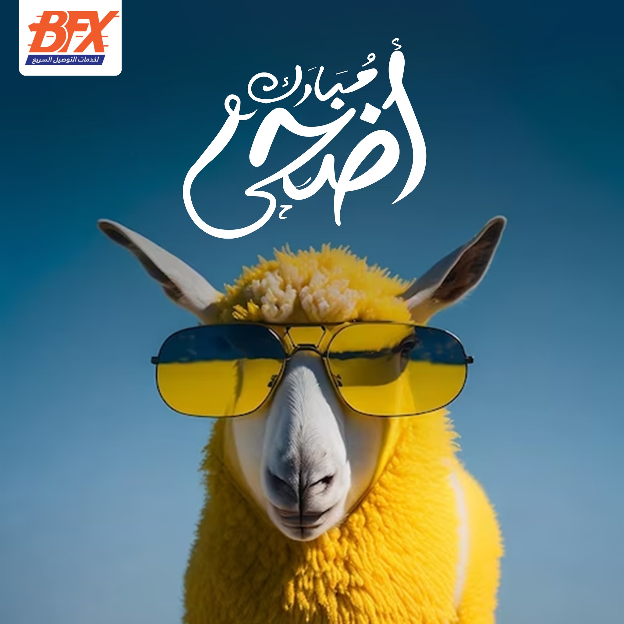 BFX | Tripoli