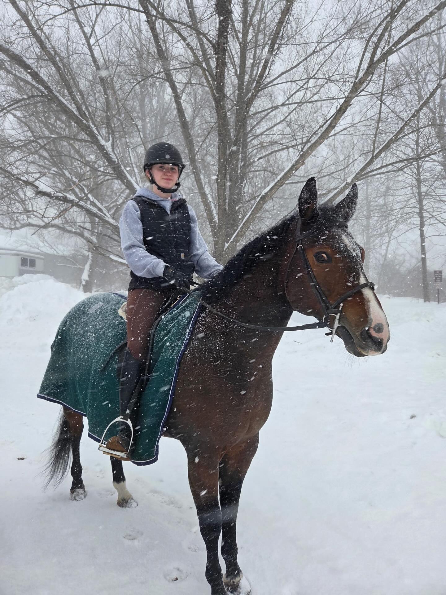 Valley Riding... - Valley Riding Inc. at Rocky River Stables