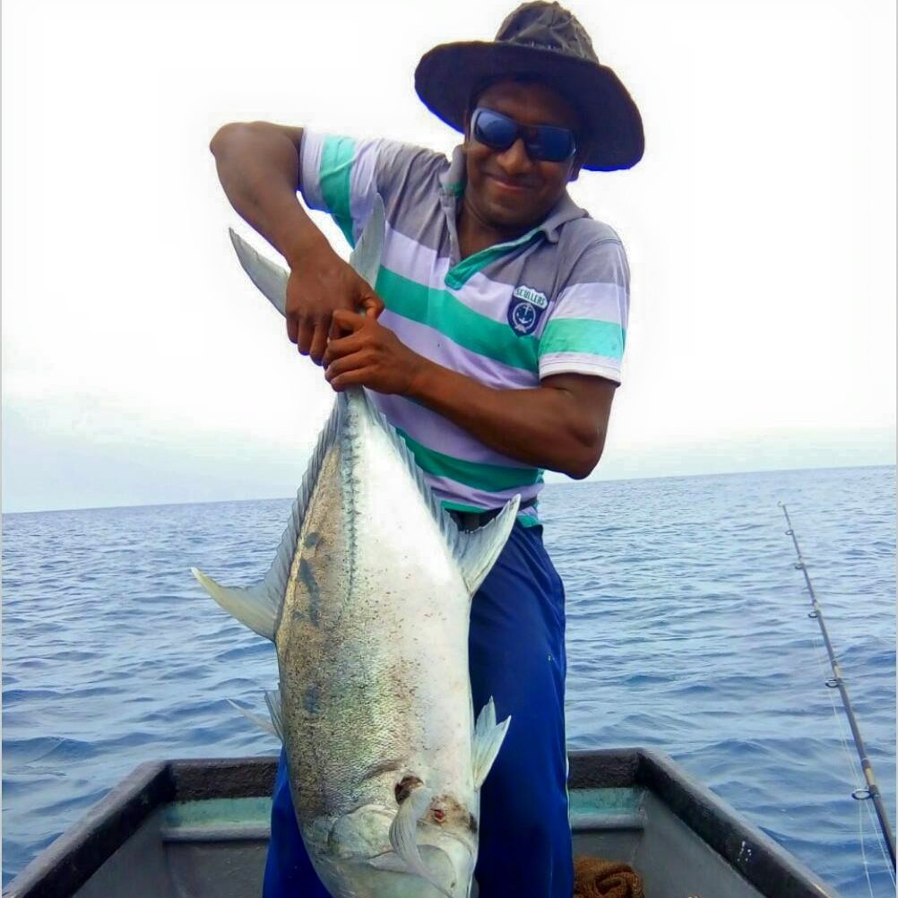 skipjack tuna #katsuwonus #lakshadweep #fishing #india #beach ...