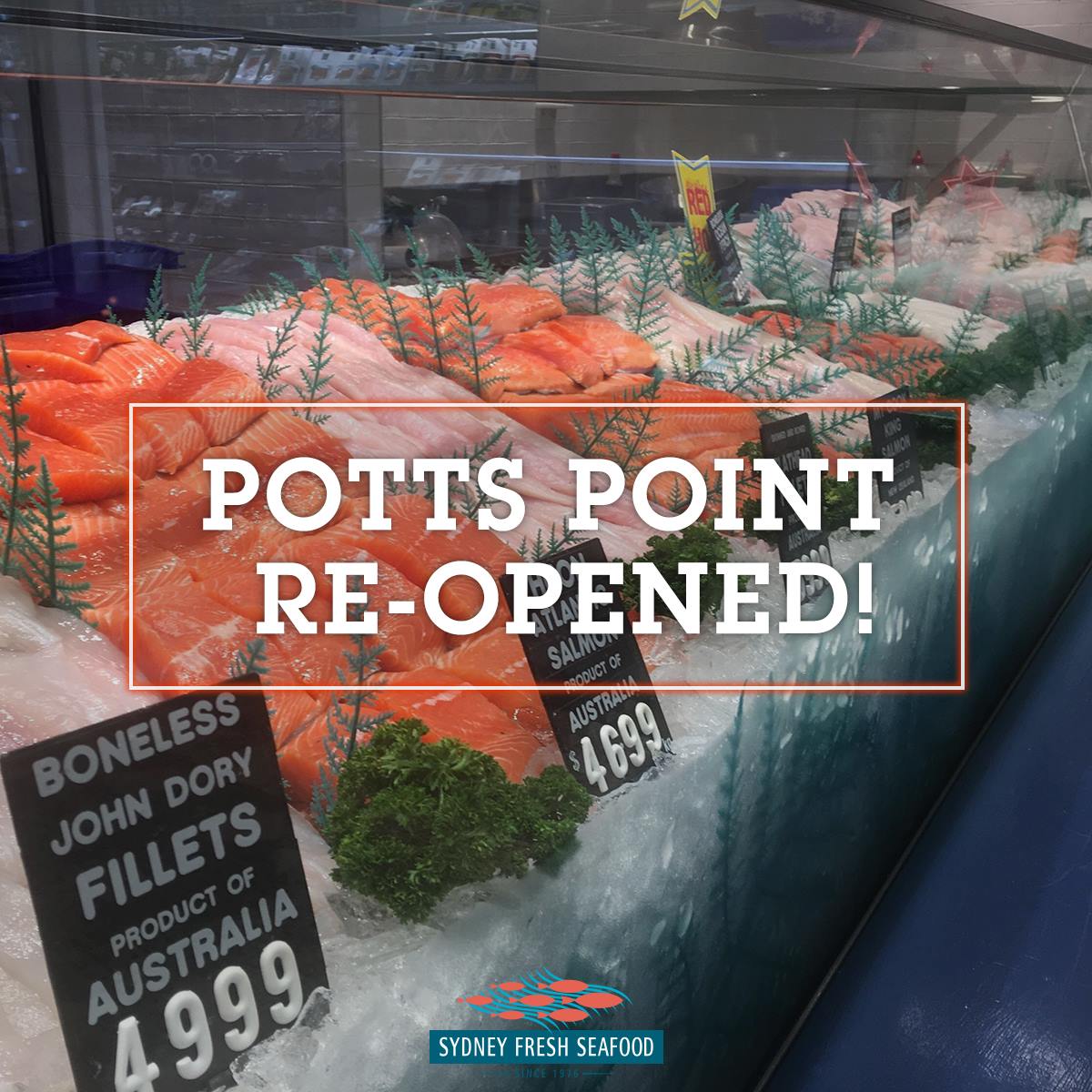 Fish - NEW & IMPROVED | Potts Point has RE-OPENED after some renos and ...