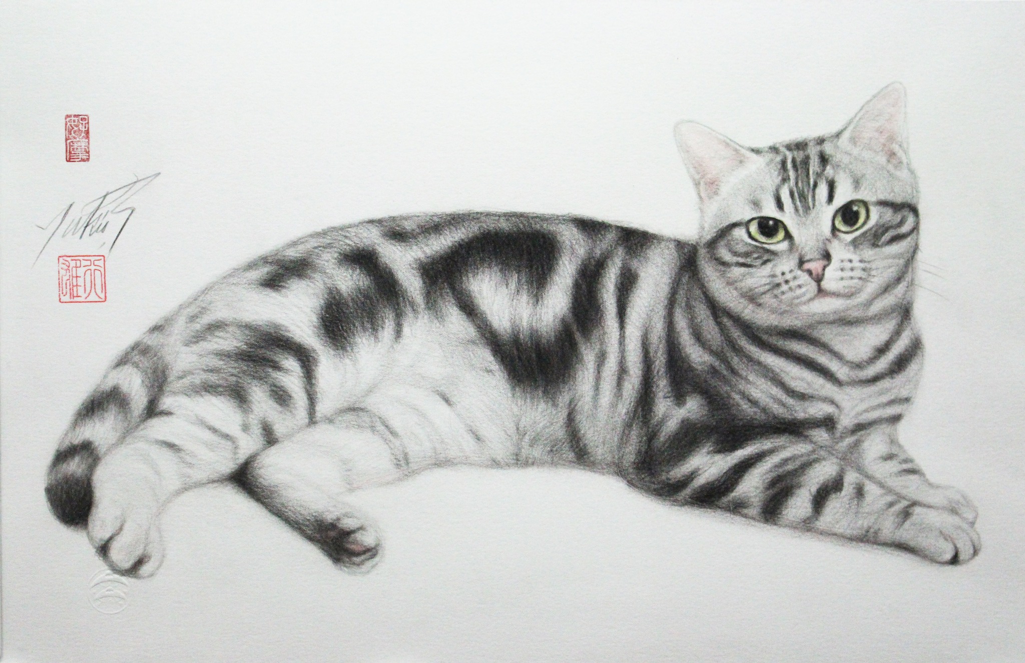 猫の絵描き高橋行雄(@catart.yukio.takahashi) • Facebook