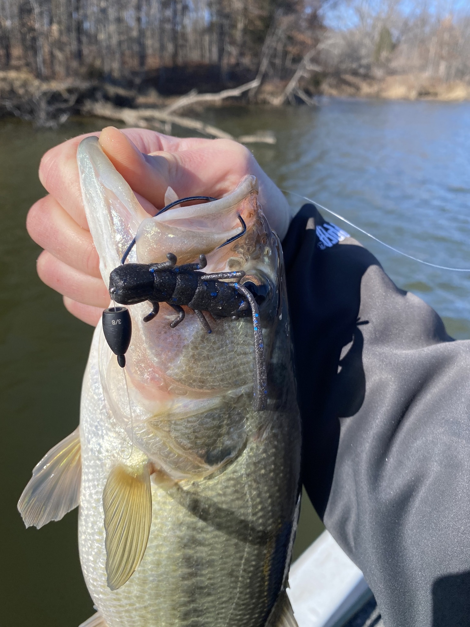 InBulk Tackle | Indianapolis IN