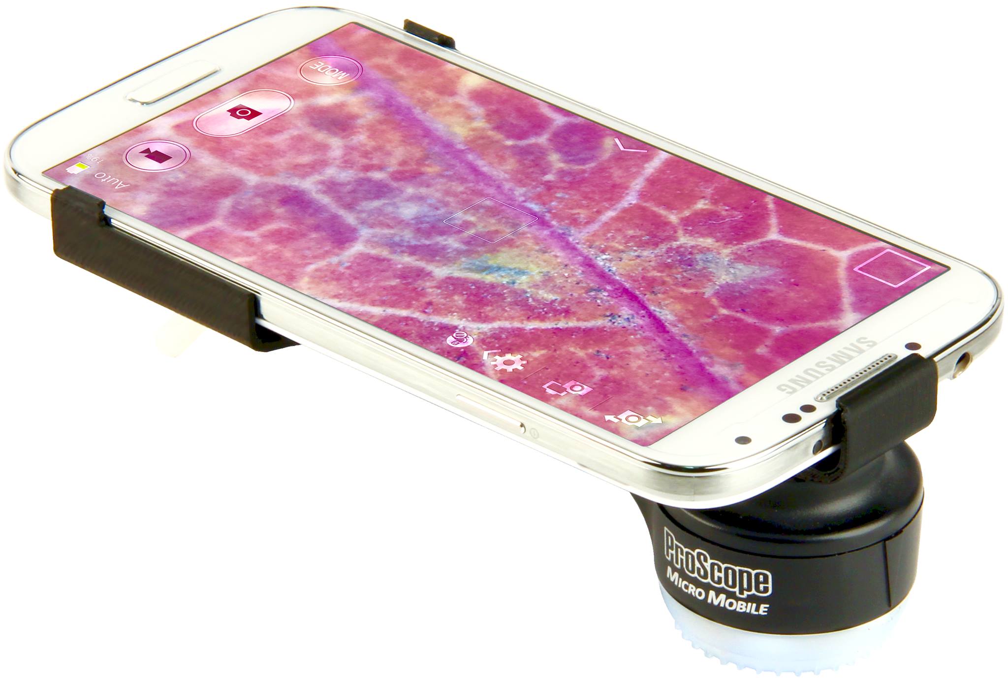 ProScope Digital | Wilsonville OR