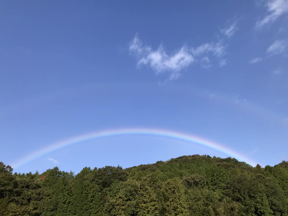 🌈「日々是好日」 意味は、毎日毎日が素晴らしいこと。 読みは、解説