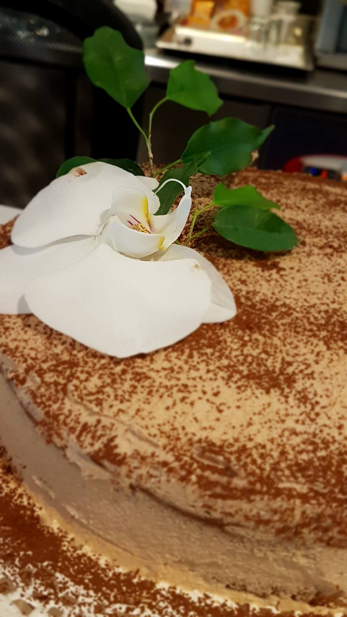 Pudding Cafe | Istanbul