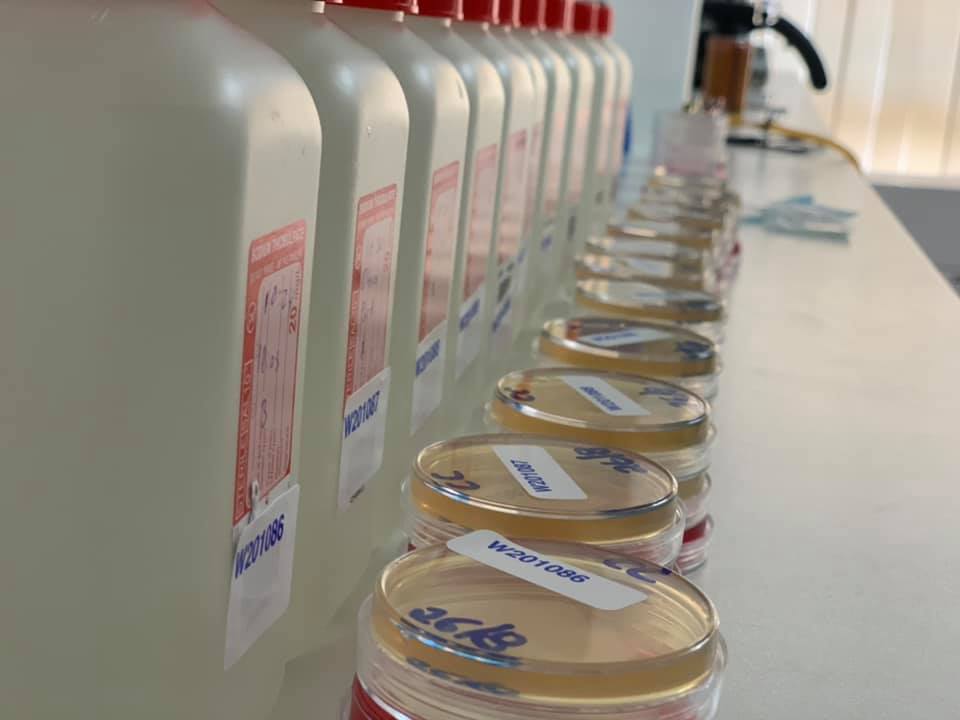 WF Quality Labs water & food analysis