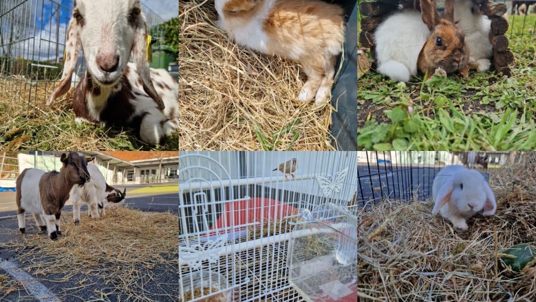 MAM les mini-pouces added a new photo. - MAM les mini-pouces