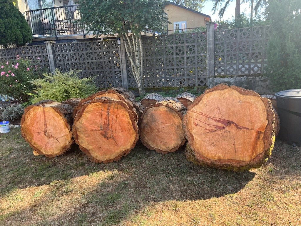 Douglas Fir Wood Rounds - Stepping Stones - Langford, British Columbia ...
