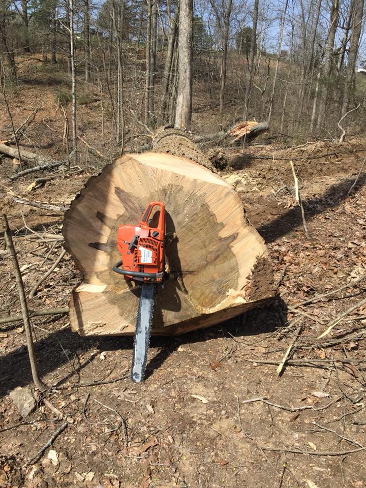 Bolin Logging | Nancy KY