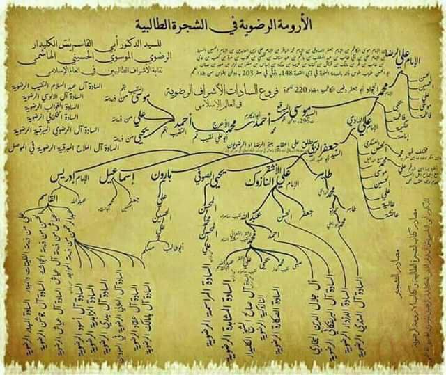 مجلس الشمال يشارك في تخريج مخيم طلائع الرياديين في يعبد المجلس الأعلى للشباب والرياضة الشمال