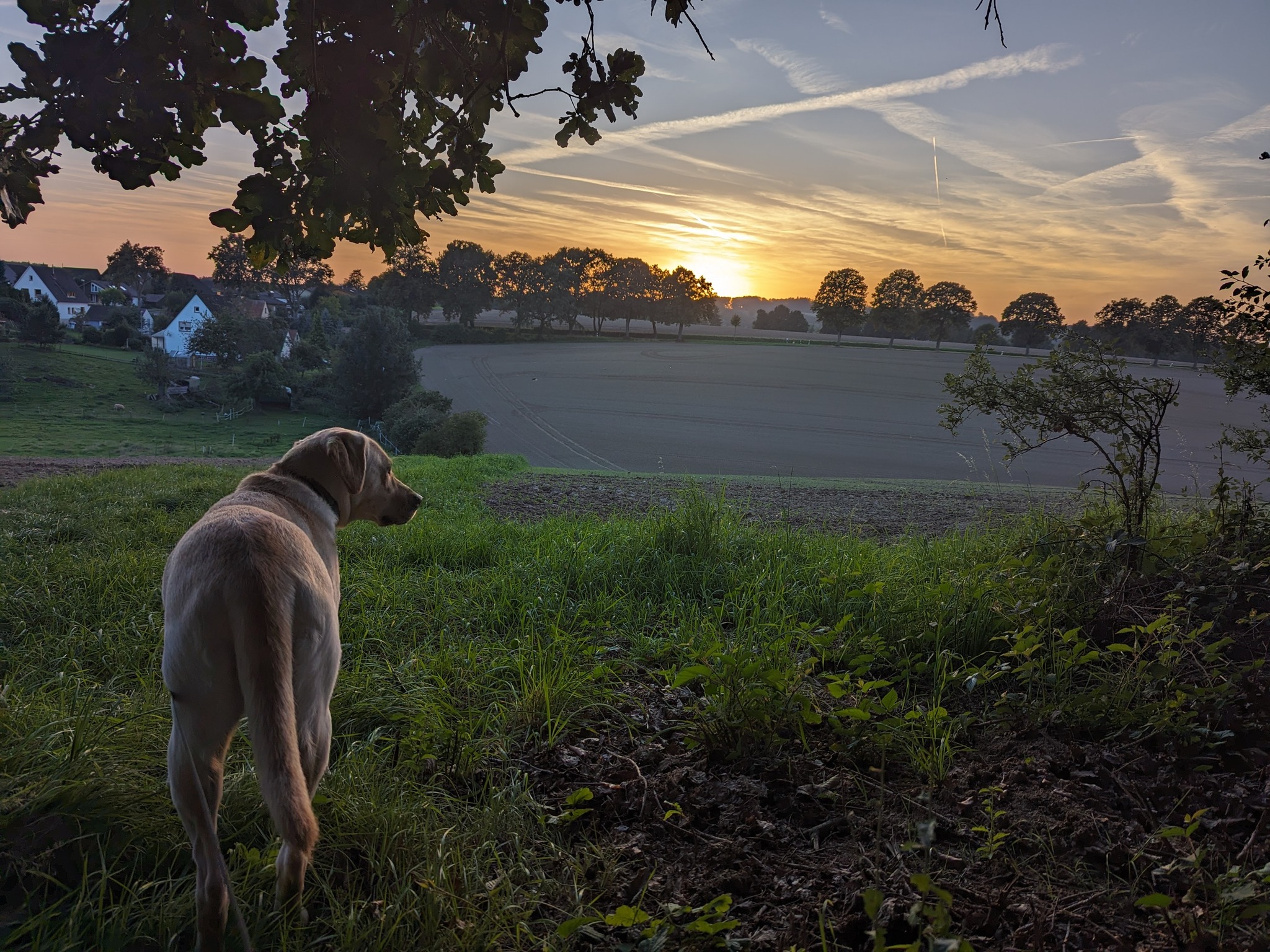 Es ist abends durchaus finster... - Leopoldshöher Nachrichten | Facebook