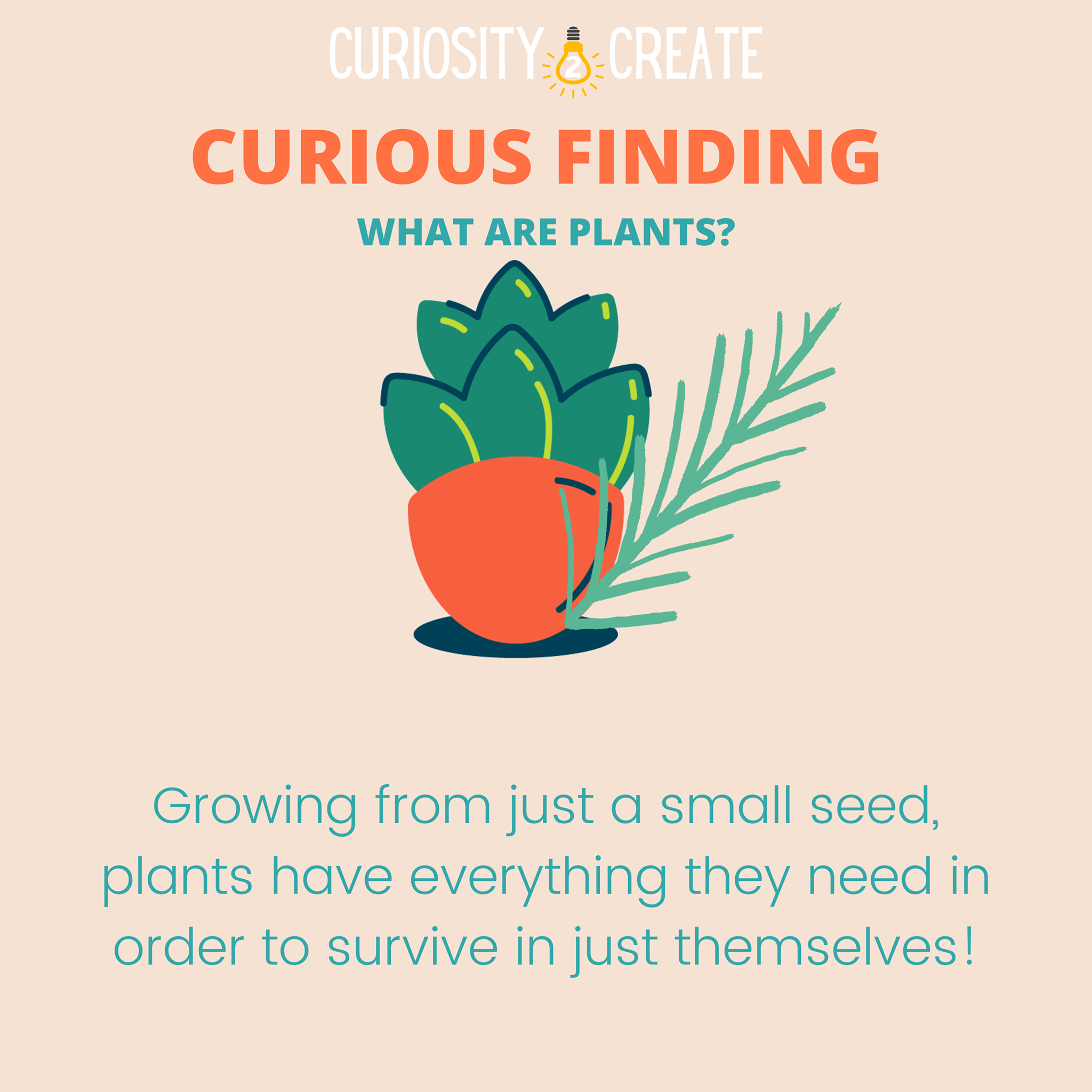 Curiosity 2 Create added a new photo. - Curiosity 2 Create