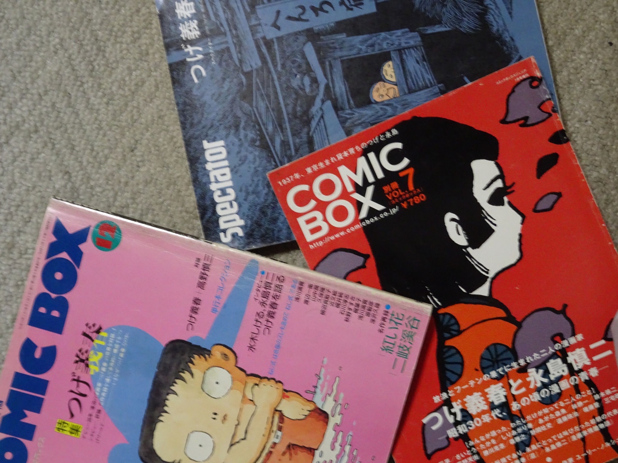 1968年6月『ガロ』臨時増刊号に描き下ろされた「ねじ式」の眼の看板の