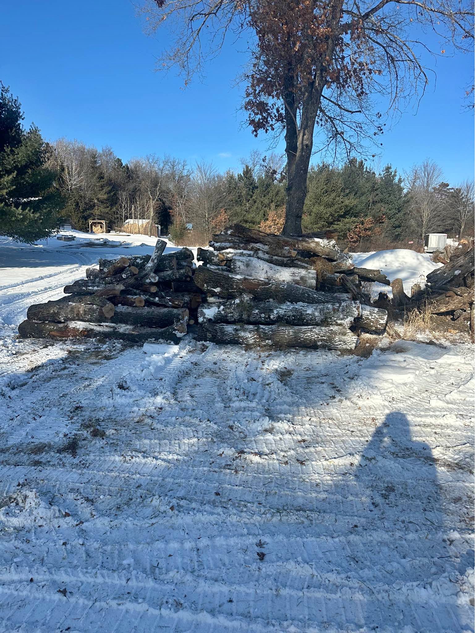 Firewood - Miscellaneous - Forest Junction, Wisconsin | Facebook ...